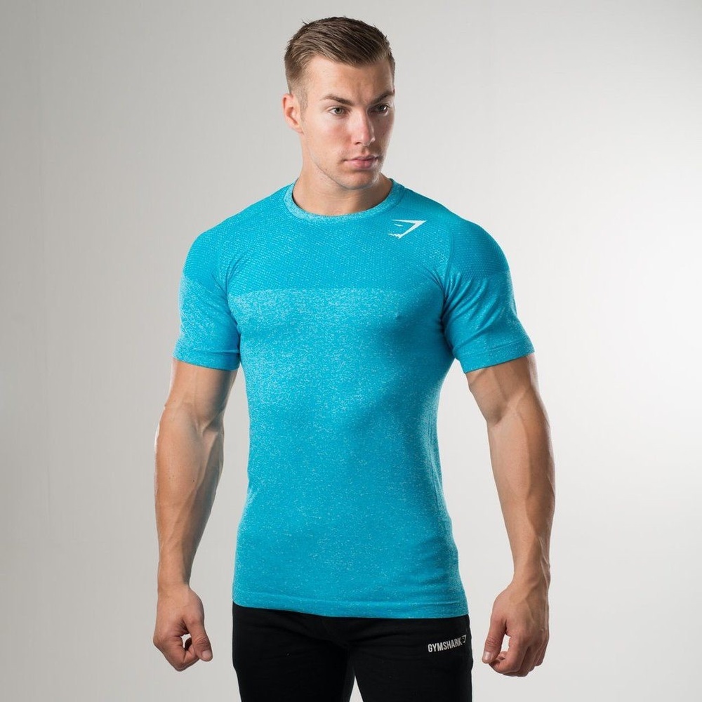Gymshark phantom seamless T-Shirt.